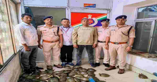 Featured Image Featured Image