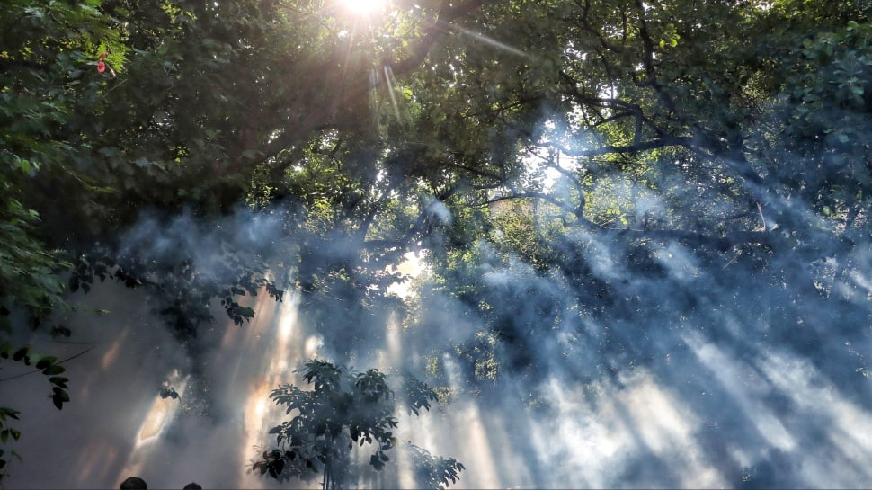 Featured Image Featured Image