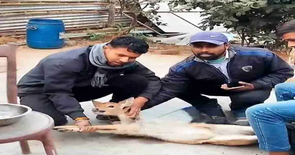 Featured Image Featured Image